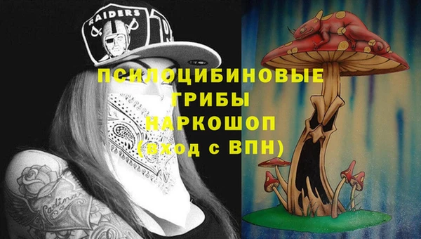 PSILOCYBIN Беломорск