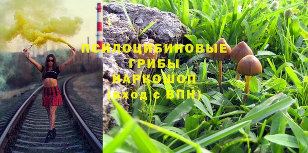 PSILOCYBIN Беломорск