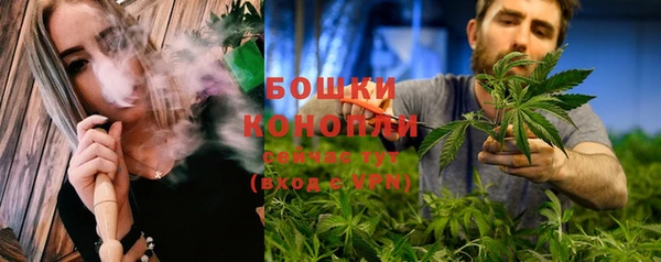 PSILOCYBIN Беломорск